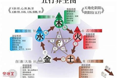 眉頭有墨 五行火旺缺水